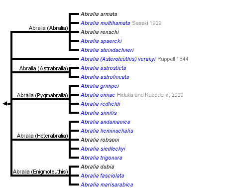 taxon links