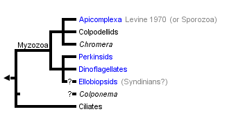 taxon links