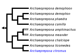 taxon links