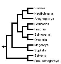 taxon links