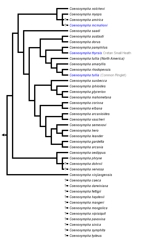 taxon links