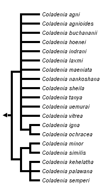 taxon links