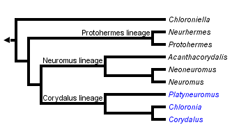 taxon links