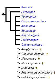 taxon links