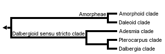 taxon links