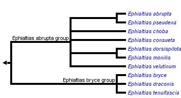 taxon links