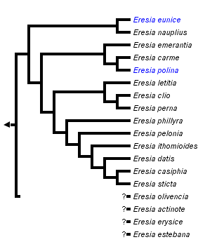 taxon links