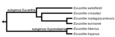 taxon links