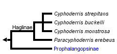 taxon links