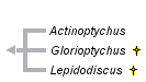 taxon links