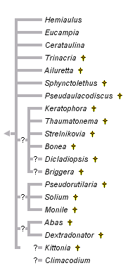 taxon links