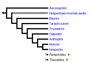 taxon links