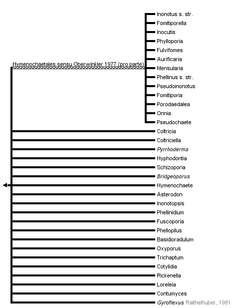 taxon links