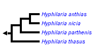 taxon links