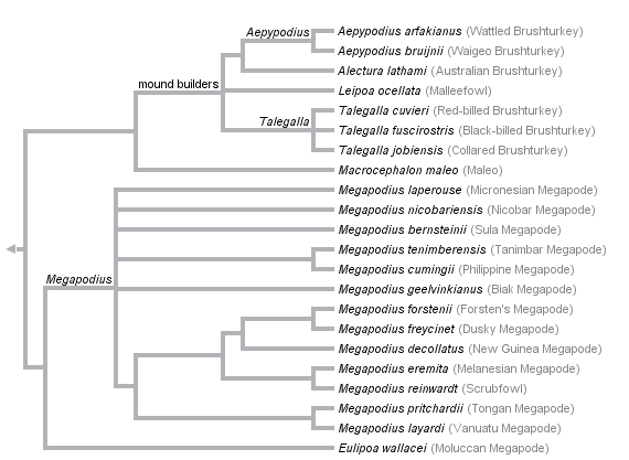 taxon links