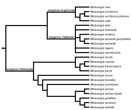 taxon links