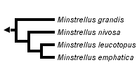 taxon links