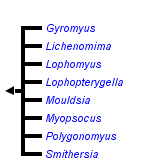 taxon links