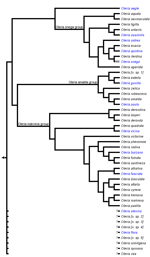 taxon links