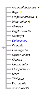 taxon links