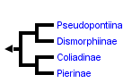 taxon links