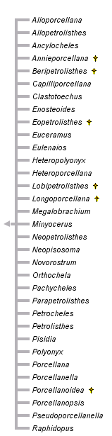 taxon links