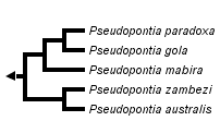 taxon links