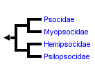 taxon links