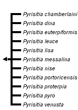 taxon links