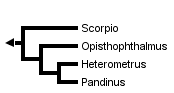 taxon links