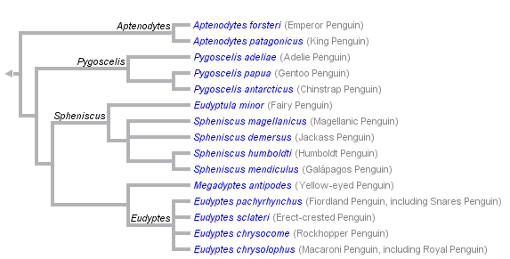 taxon links