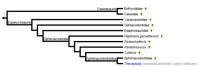 taxon links