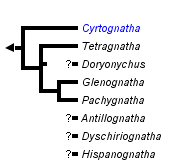 taxon links