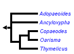 taxon links