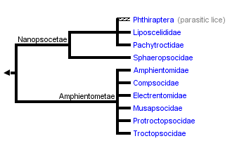 taxon links