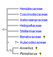 taxon links